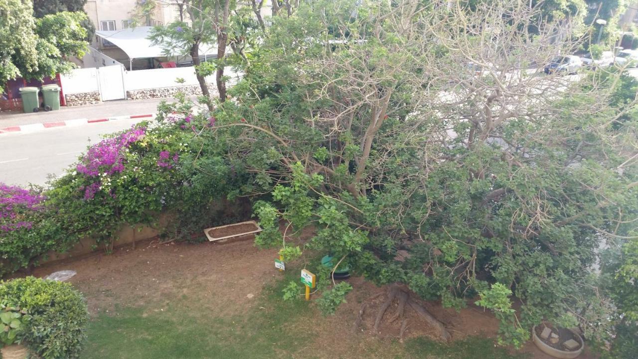 Herzliya Center Apartments エクステリア 写真